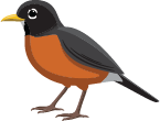 illustration of a robin