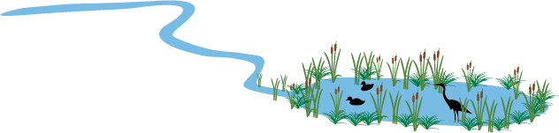 illustration of birds in an urban wetland