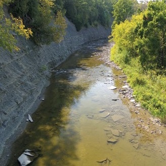Etobicoke Creek
