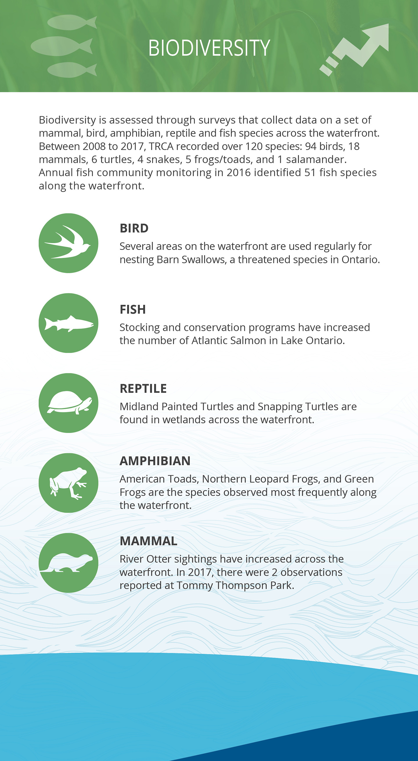 biodiversity panel of Lake Ontario Waterfront report card